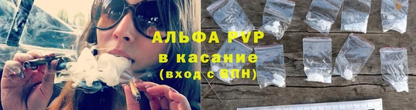 мяу мяу мука Арсеньев