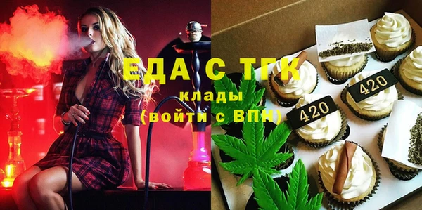 хмурый Аркадак