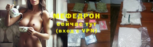 хмурый Аркадак