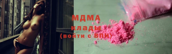 хмурый Аркадак