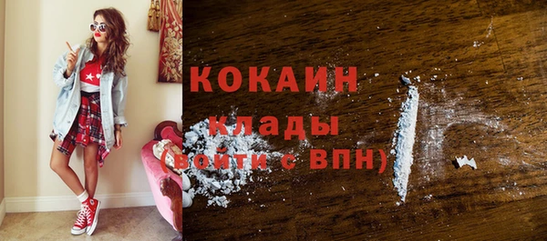 хмурый Аркадак