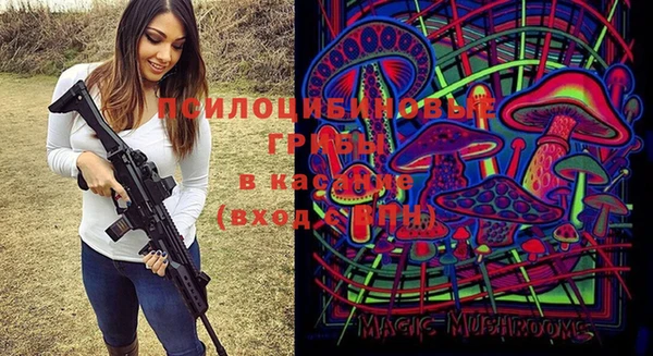 хмурый Аркадак