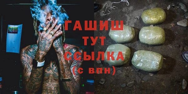 хмурый Аркадак