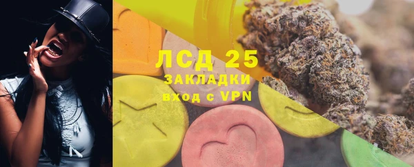хмурый Аркадак