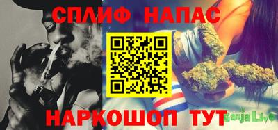 соль ск Можга