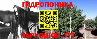 гидропоника Мариинск