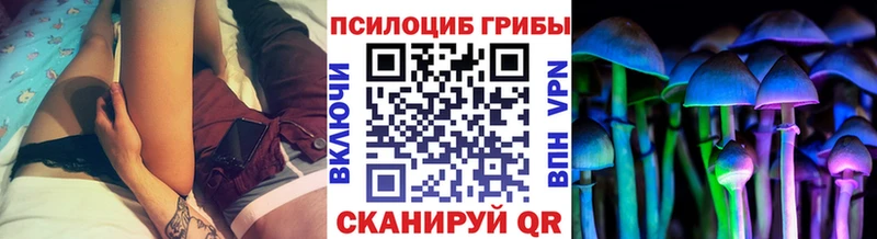 закладки  Южно-Сахалинск  Галлюциногенные грибы MAGIC MUSHROOMS 