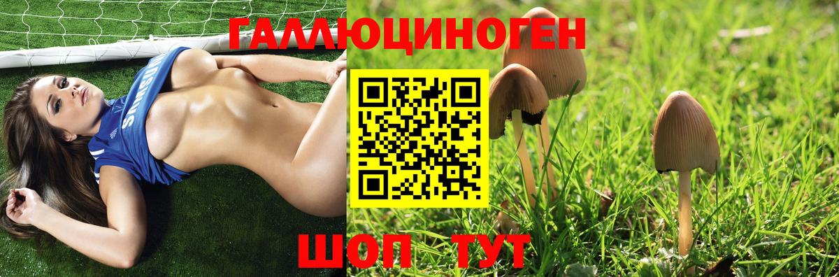 Южно-Сахалинск  Псилоцибиновые грибы Psilocybe  Вход с VPN  Галлюциногенные грибы Cubensis 